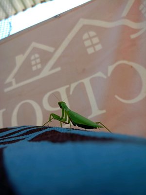 еду на море