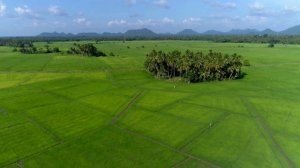 Душевная песня - Люби только одну. Песня про любовь. ⏩ Слушать. Премьера. Новинка. Онлайн.