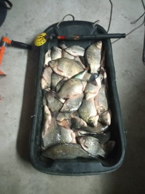 последний лёд ,  клюет как с пулемета...