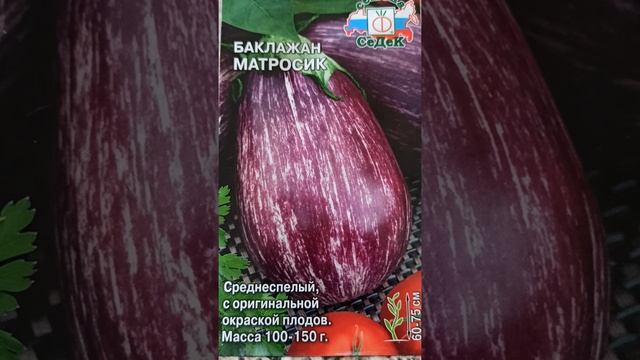 Баклажан Матросик характеристика и описание сорта