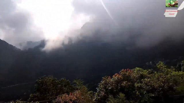 India’s s most beautiful Botanical Garden!!! #Kaalazeera, #stevia, #kiwi ,#nainital , #naturelover смотреть онлайн