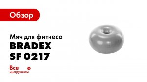 Мяч для фитнеса «ФИТБОЛ ПОНЧИК» Bradex SF 0217