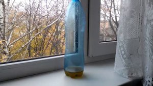 Как избавиться от мышей в частном доме рас и навсегда
