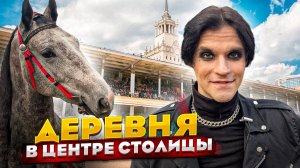 Деревня в центре Москвы! Один день на ЦМИ!