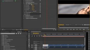 Как применить эфекты ко всем клипам в Adobe Premiere