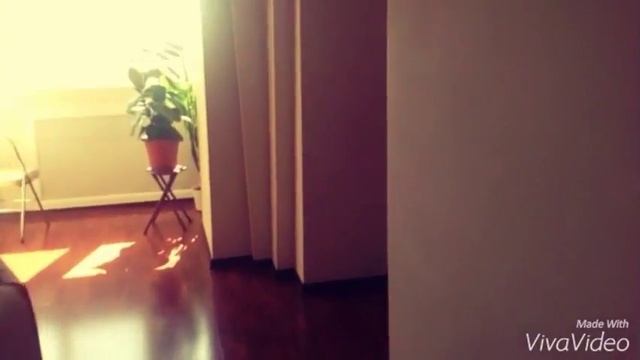 Юник и Rita GREAT|как развлечь себя и подругу?|вечеринка|гироскутер смотреть онлайн