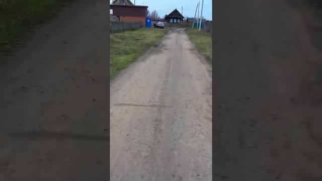 Обращение к главе Республики Башкортостан Радию Фаритовичу Хабирову помочь жителям д.Карякино смотреть онлайн