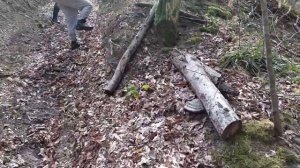 Внешний обзор Toyota 4Runner/ тойота 4руннер покатушки №9