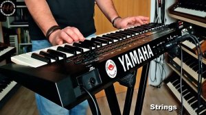 YAMAHA DX11 V2 FM Synthesizer - Sound Demo