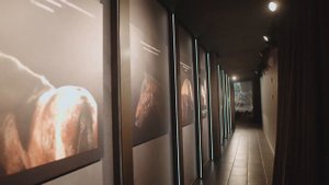 Центр национальных конных традиций. Музей Лошади на ВДНХ.