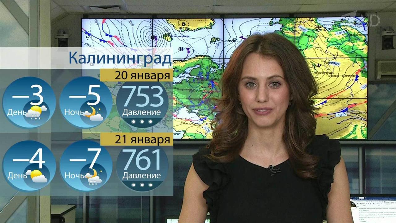 Ставки на спорт название канала. Прогноз 1 канала. Прогноз погоды на тв. Ведущие погоды на россия 24. Ставки канал название.