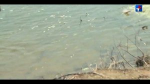 Спонтанная рыбалка на Сухом Бузане _ КЛЁВ БУДЕТ