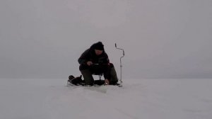 РЫБАЛКА НА БАЛАНСИРЫ RAPALA!!! В КАМСКОЕ УСТЬЕ НА ВОЛГЕ ТАТАРСТАН!!!!