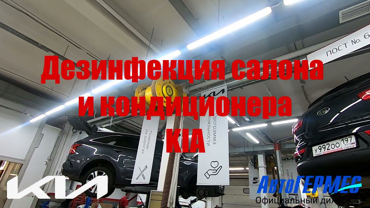 Дезинфекция салона и кондиционера KIA || АвтоГЕРМЕС