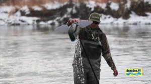 Чучела  уток