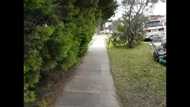 СКОЛЬКО СТОИТ ЖИЛЬЁ В АВСТРАЛИИ ? ДОМА ОТ ДВУХ МИЛЛИОНОВ ДОЛЛАРОВ ДОМ ПЛЮШКИНА смотреть онлайн