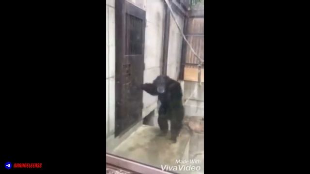 Подробный гайд на ТИЛЬТ смотреть онлайн