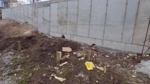 Строительство дома с цокольным этажом на склоне (на скале)