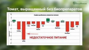 Жара в огороде  Полезные советы дачника