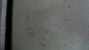 Чем стоит смазывать формы для тротуарной плитки.