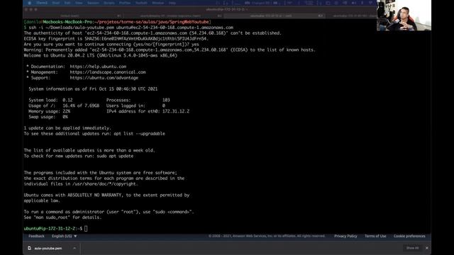 Deploy de uma aplicação Java (com banco de dados) na AWS e Heroku смотреть онлайн