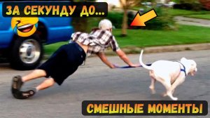 Смешные видео с животными ? - Самые смешные видео с собаками и кошками ?? #25