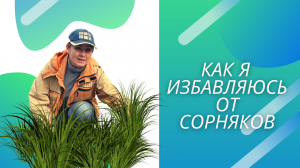 Как избавиться от сорняков? Какая мульча круче?
