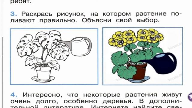 Окружающий мир. Рабочая тетрадь 1 класс 1 часть. ГДЗ стр. 49 №3