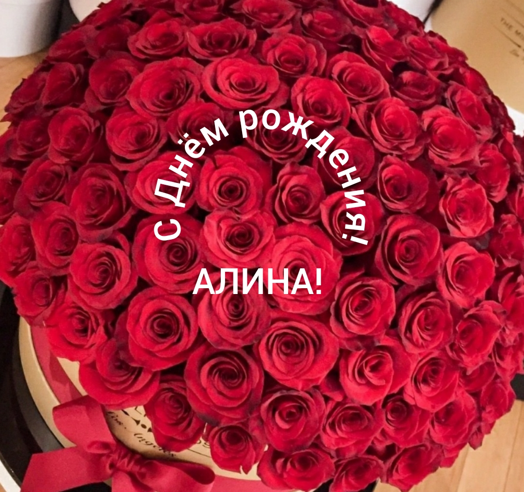 С днем рождения аниса