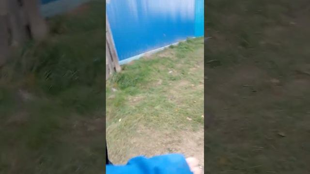 мы ищем мальчика чеееек смотреть онлайн