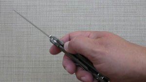 ТЫ ЧТО ЛИ? Нож SEBENZA 31 LARGE Chris Reeve Knives