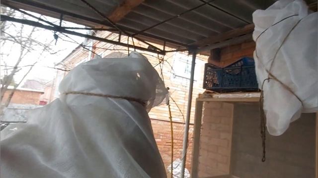 Теперь копчу уток мускусных только так / горячее копчение в бочке