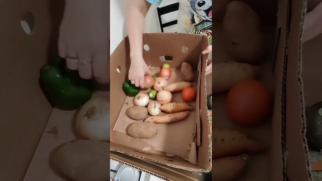 фут банк  это реально! смотреть онлайн