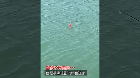 ?рыболовная сеть ?