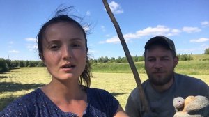ГДЕ ТЕПЕРЬ ЕЗДИТЬ НА ЛОШАДИ. ЧТО СТАЛО С ПОЛЕМ ЛЮЦЕРНЫ КОТОРУЮ СКОСИЛИ. ЖИЗНЬ ПРОСТЫХ ЛЮДЕЙ