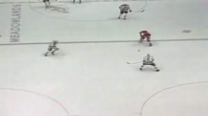 Первый гол Сергея Федорова в НХЛ 04.10.1990 / Sergei Fedorov Scores First NHL Goal