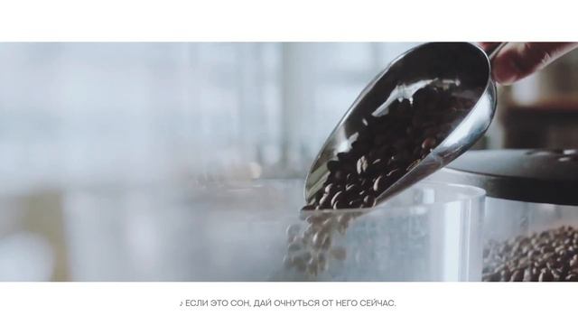 Lluvia Calida. « Stay With Me » & Devil Wolf смотреть онлайн