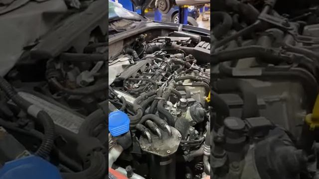 Does a Volkswagen TDI take any special maintenance I should be aware of? @UrbanAutomotive01 смотреть онлайн