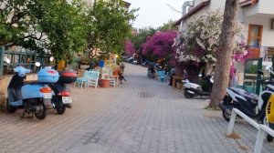 БЕСИТ! Русские в Турции. Что это такое, вообще? Город Каш и его улицы. Цветы и коты // оксана мс