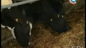 Лукашенко учит как снимать телочек. Смотреть до конца!!