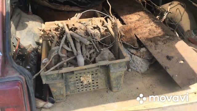 Копая у Заброшенного Дома Сработала Сигнализация смотреть онлайн