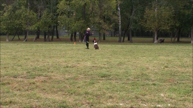 USDDN WF QUALIFIER Людмила и Аргентина R3.mp4