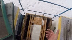 Белковая подкормка пчел Рецепт в видео Февраль утепляем пчёл