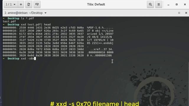 How to Create A Hex Dump Of A File Using The xxd Command In Linux