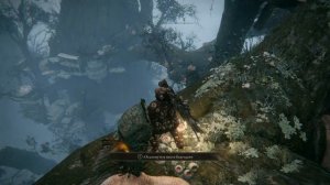 Elden RinG как попасть в локацию святого древа микеллы