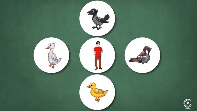 Обучение дошкольников онлайн. Развитие речи - 1й урок. Дистанционные курсы Curio Courses. смотреть онлайн