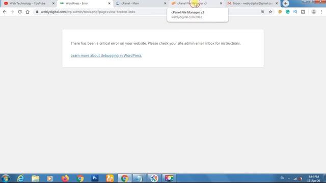 There Has Been A Critical Error On Your Website WordPress Fixed смотреть онлайн