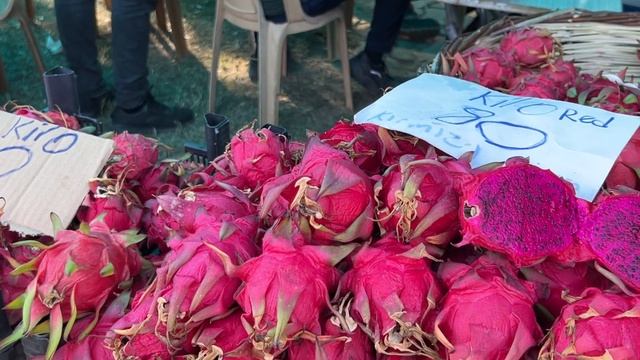 Фестиваль тропических фруктов.Турция. Газипаша. смотреть онлайн