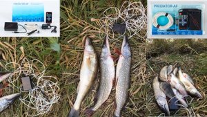Рыбалка Электронная приманка для рыбы Predator AF Своими руками