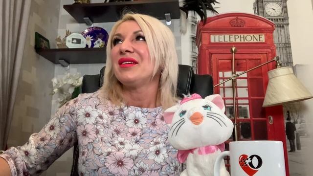 Социализация котенка.